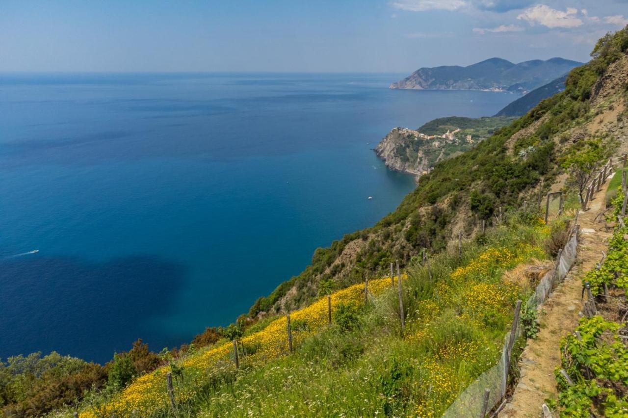 Orizzonte Damare Apartment Volastra Bagian luar foto